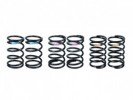 3RACING Sakura FGX Damper Spring Set - FGX-303