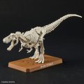alt="Bandai 5064262 - Plannosaurus Tyrannosaurus Dinosaur #01" title="Bandai 5064262 - Plannosaurus Tyrannosaurus Dinosaur #01"