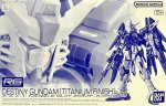 Bandai 5060237 - RG 1/144 Destiny Gundam (Titanium Finish)