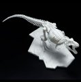 alt="Bandai 5061659 - Tyrannosaurus Dinosaur Model Kit Limex Skeleton" title="Bandai 5061659 - Tyrannosaurus Dinosaur Model Kit Limex Skeleton"