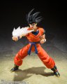 alt="Bandai 65040 - Son Goku\'s Effect Parts Set Dragon Ball Z S.H.Figuarts SHF" title="Bandai 65040 - Son Goku\'s Effect Parts Set Dragon Ball Z S.H.Figuarts SHF"
