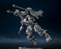 alt="Bandai 65760 - S.H.MonsterArts Mechagodzilla (1993) & Garuda & Fire Radon Makuhari Decisive Battle Ver." title="Bandai 65760 - S.H.MonsterArts Mechagodzilla (1993) & Garuda & Fire Radon Makuhari Decisive Battle Ver."