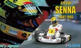 Fujimi 09138 - 1/20 KART-2 Ayrton Senna Kart 1993