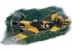 Hobby Boss 80250 P-40E Kitty hawk