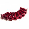 RACEOPT Aluminium Screw 8pcs, 3 x 10mm (Flat Head) - Red (RO-AFH3x10T-R)