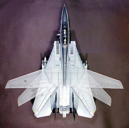 Tamiya 60313 - 1/32 F-14A Tomcat VF-154 Black Knights Scale Kit