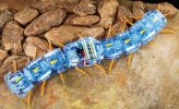 Tamiya 70230 - Centipede Robot