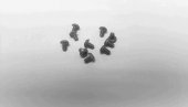 Xceed 103333 Screw Titanium RH Allen M3 x 5 (10)