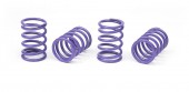 XRAY 308396 Spring-set D=1.7 (28 Lb) Violet - Medium (4)