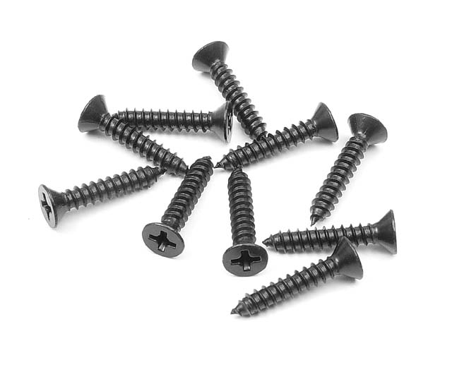 XRAY #909369 Screw Phillips SS 3.5x19  (10)